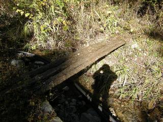 DSCN1319.JPG