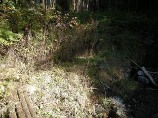 DSCN1320.JPG