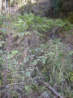 DSCN1321.JPG