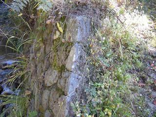 DSCN1322.JPG