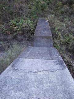 DSCN1324.JPG