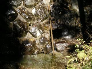 DSCN1334.JPG