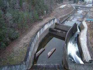 DSCN3326.JPG