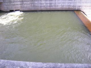 DSCN3438.JPG