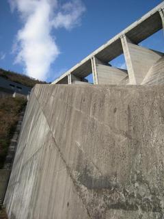DSCN3446.JPG