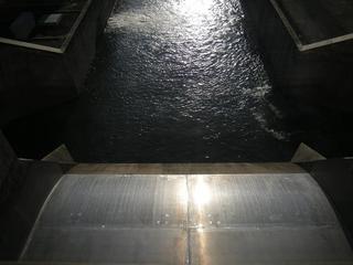 DSCN3491.JPG