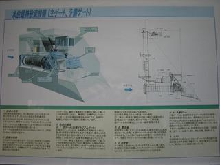 DSCN3492.JPG