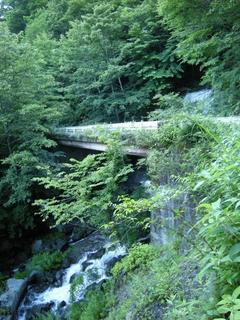 DSCN6423.JPG