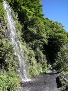 DSCN6445.JPG
