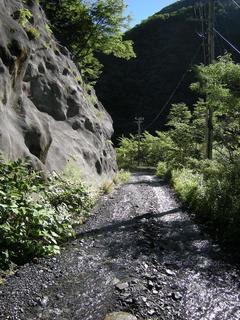 DSCN6446.JPG