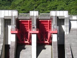 DSCN6453.JPG