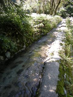 DSCN9290.JPG
