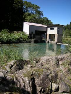 DSCN9292.JPG