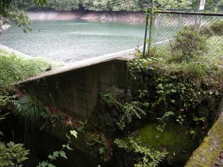 DSCN9485.JPG