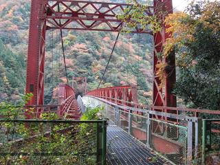 IMG_2273.JPG