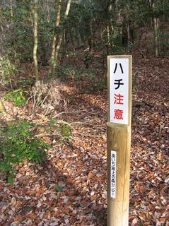 IMG_2997.JPG