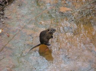 IMG_3017.JPG