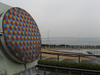 IMG_3507.JPG