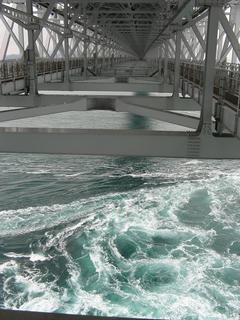 IMG_3536.JPG