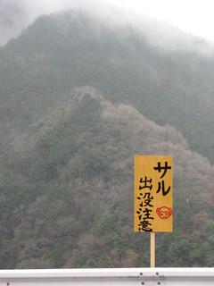 IMG_3633_2.JPG