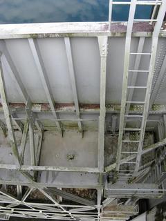 IMG_3642.JPG