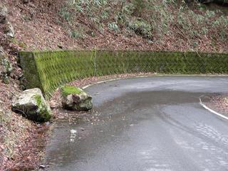IMG_3677.JPG