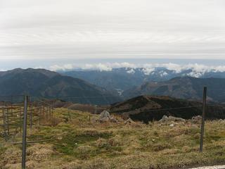 IMG_3697.JPG
