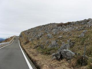 IMG_3698.JPG