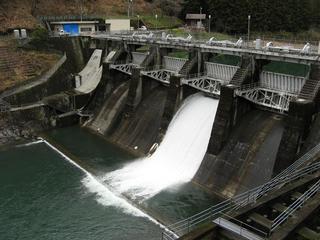 IMG_3703_1.JPG
