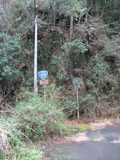 IMG_3722.JPG